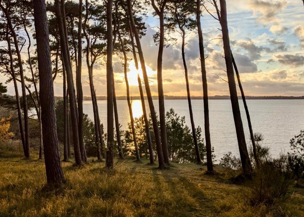 Tallskog - Dein Apartment Am Naturstrand Hohen Wieschendorf Hohenkirchen  Luaran gambar